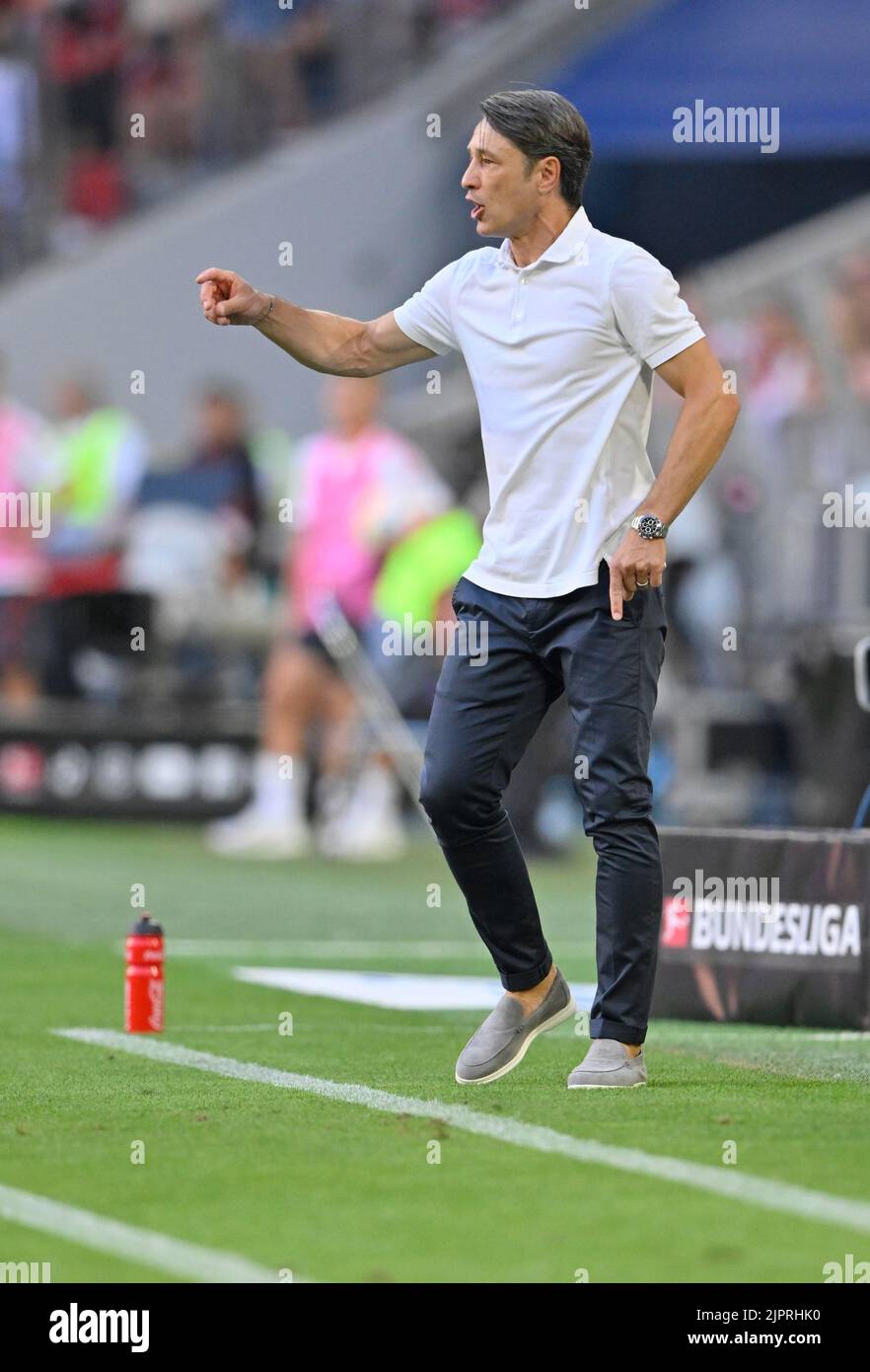Entraîneur Niko Kovac VfL Wolfsburg, gestes, Allianz Arena, Munich, Bavière, Allemagne Banque D'Images
