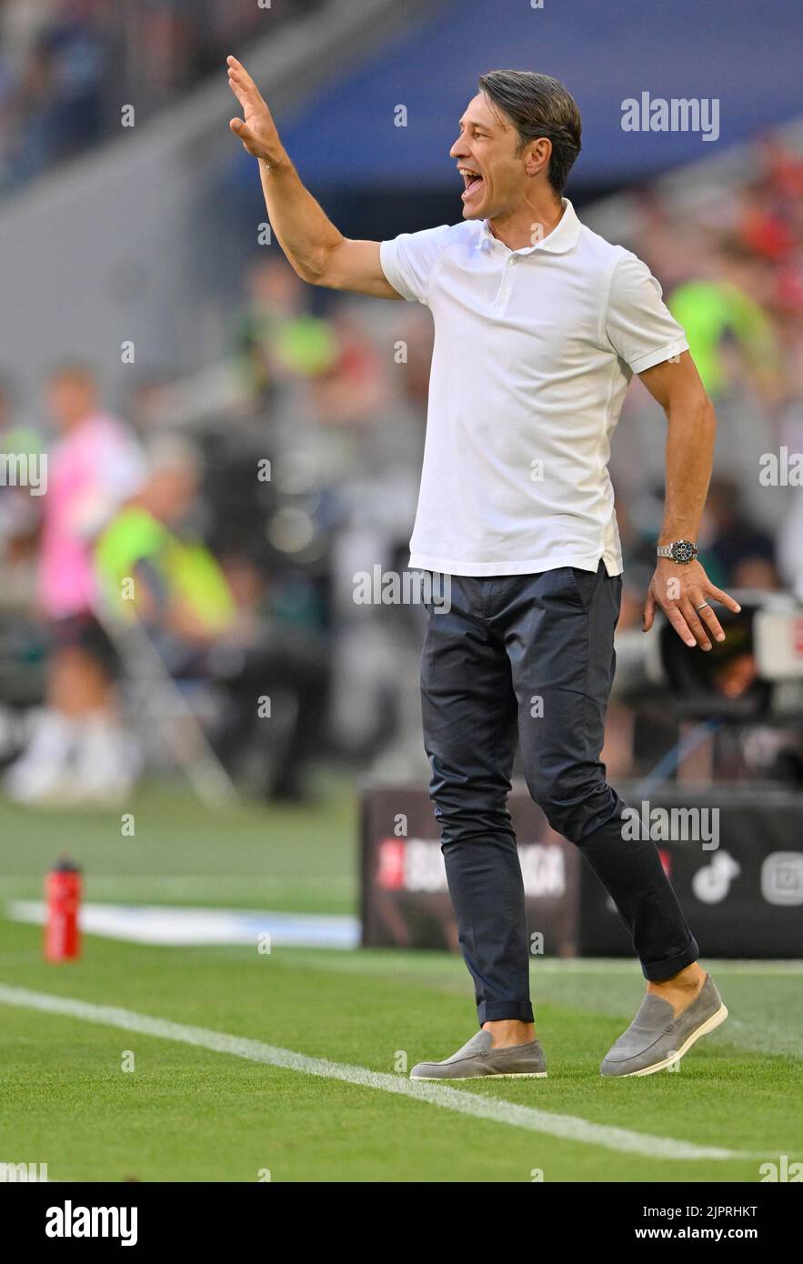 Entraîneur Niko Kovac VfL Wolfsburg, gestes, Allianz Arena, Munich, Bavière, Allemagne Banque D'Images