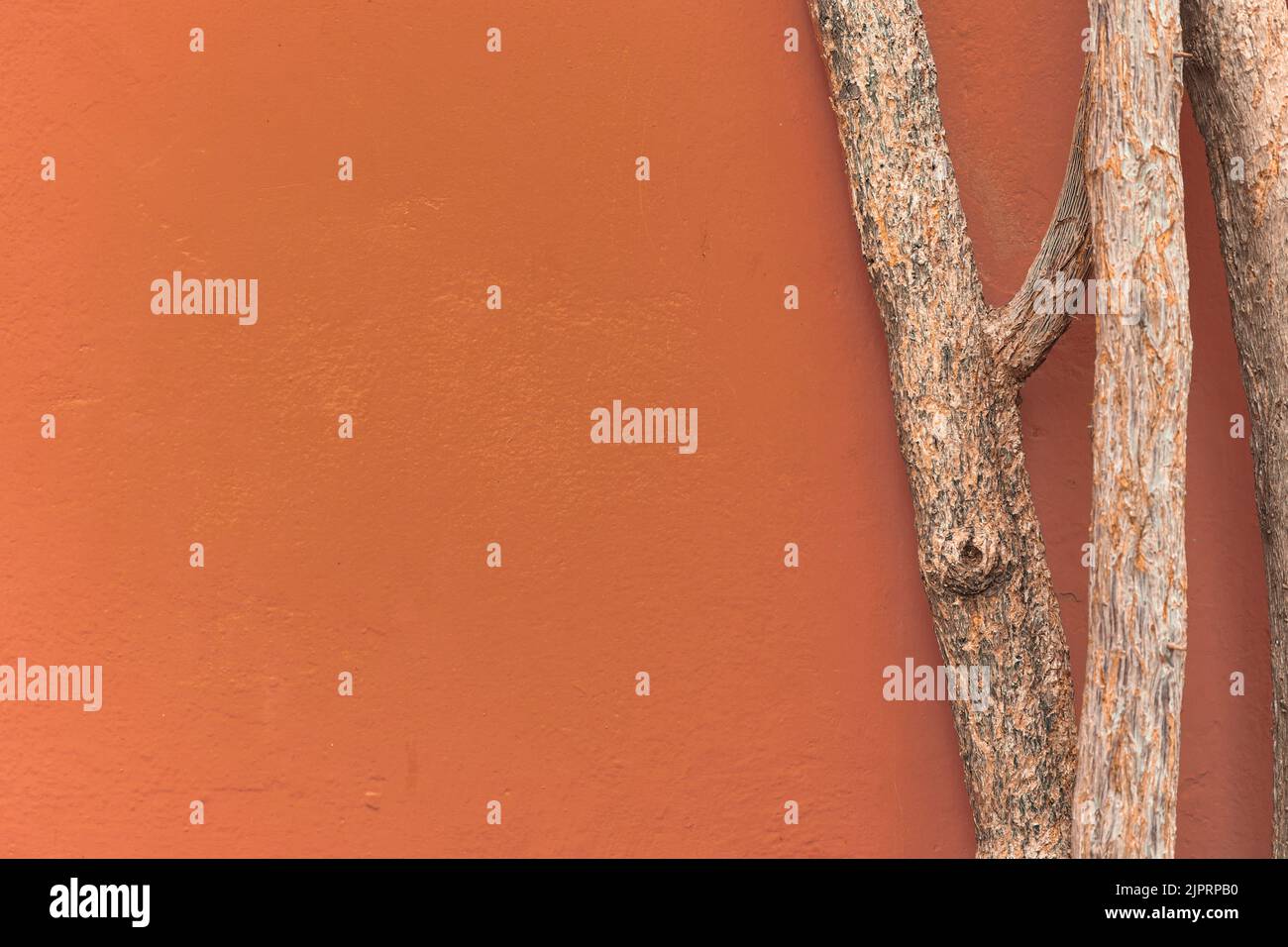 Paysage urbain d'automne minimaliste avec mur en stuc brun ocre et tronc en bois avec espace pour copier. Ancienne décoration en bois pointu avec bac mural en stuc brun Banque D'Images