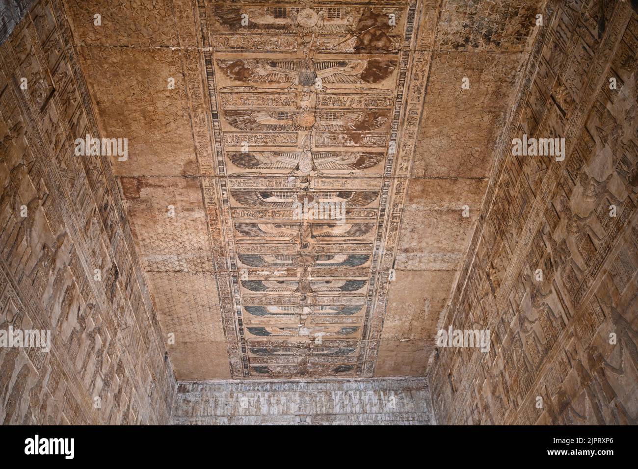 Deckenrelief, Geier, Innenraum, Geburtstempel Mamisi der Göttin Hathor, Hathor-Tempel, Dendera, Qina, Ägitten Banque D'Images
