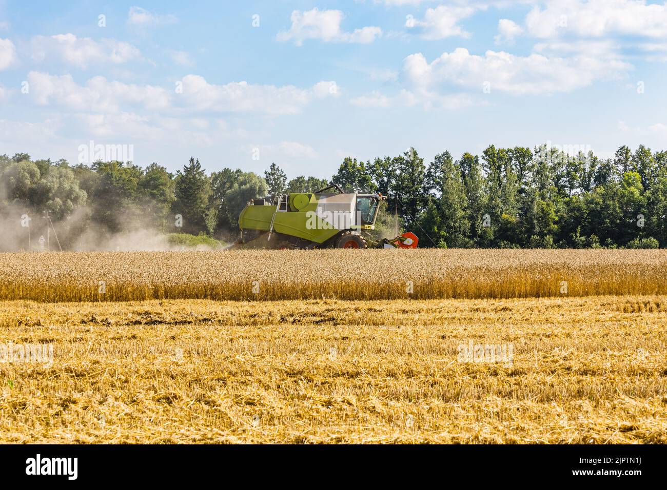 Champ de blé agricole pendant la récolte avec machine de moissonneuse-batteuse industrielle dans des proses de travail Banque D'Images