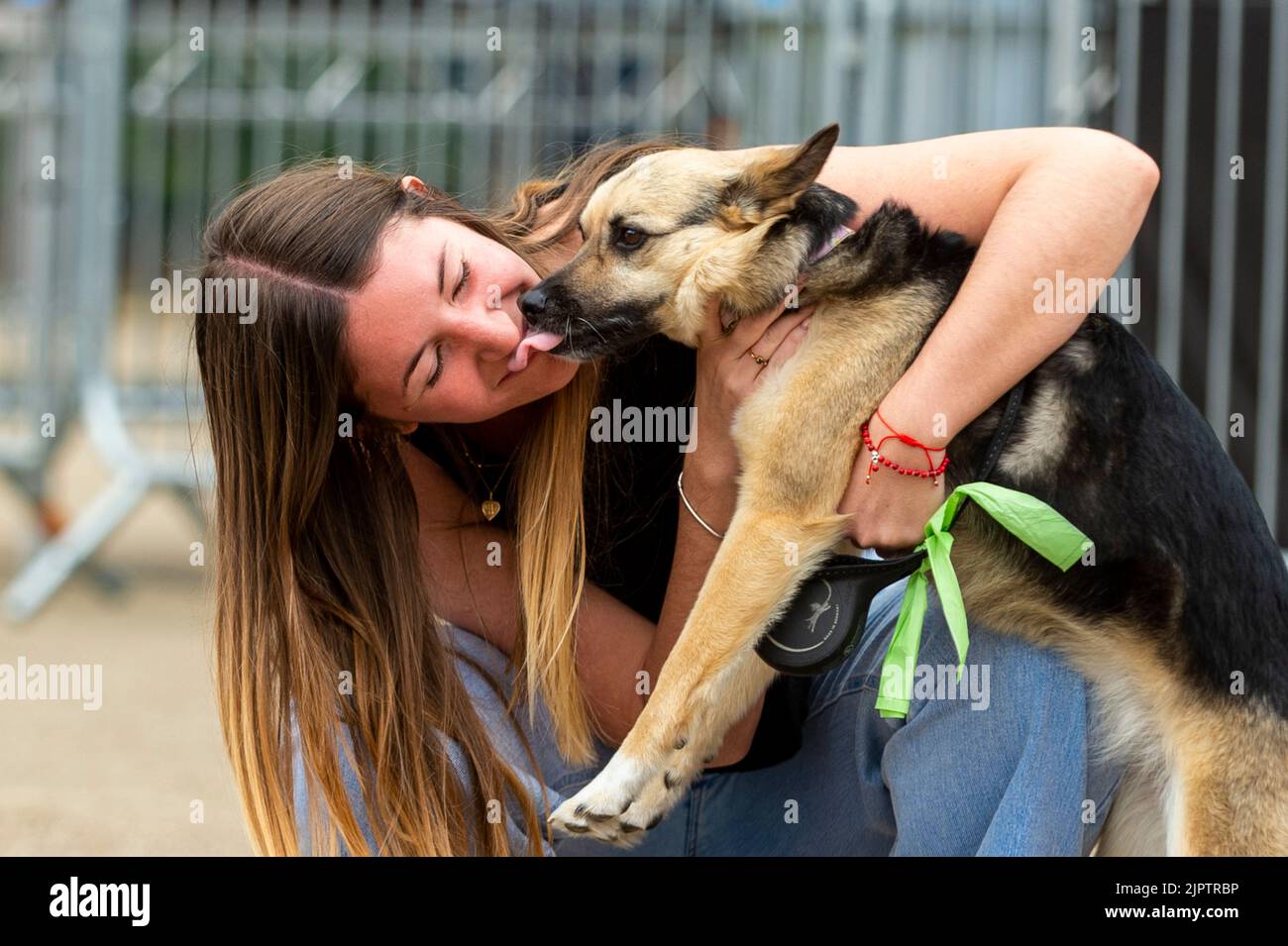 Londres, Royaume-Uni. 20 août 2022. Frida et son propriétaire au célèbre spectacle canin du Festival de Thamesmead dans le sud-est de Londres. Organisé par un groupe de résidents dévoués, il s'agit de l'événement communautaire phare chaque été, mettant en vedette des chanteurs, des musiciens et d'autres talents créatifs de Thamesmead. Credit: Stephen Chung / Alamy Live News Banque D'Images