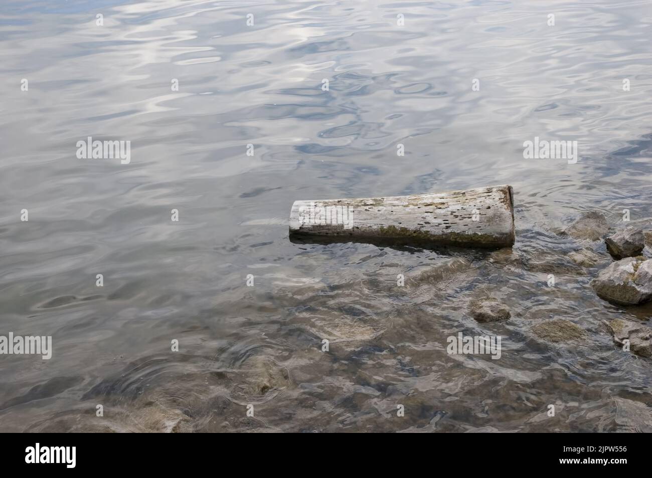 l'eau avec de petites vagues, sur le shoal se trouvent des rochers et une vieille bûche Banque D'Images