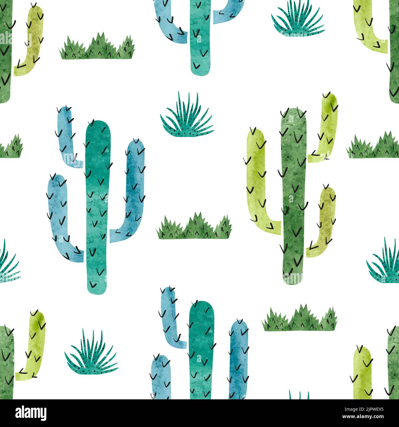 Motif aquarelle cactus sans couture. Fond vectoriel avec cactus vert et bleu isolé sur blanc Illustration de Vecteur