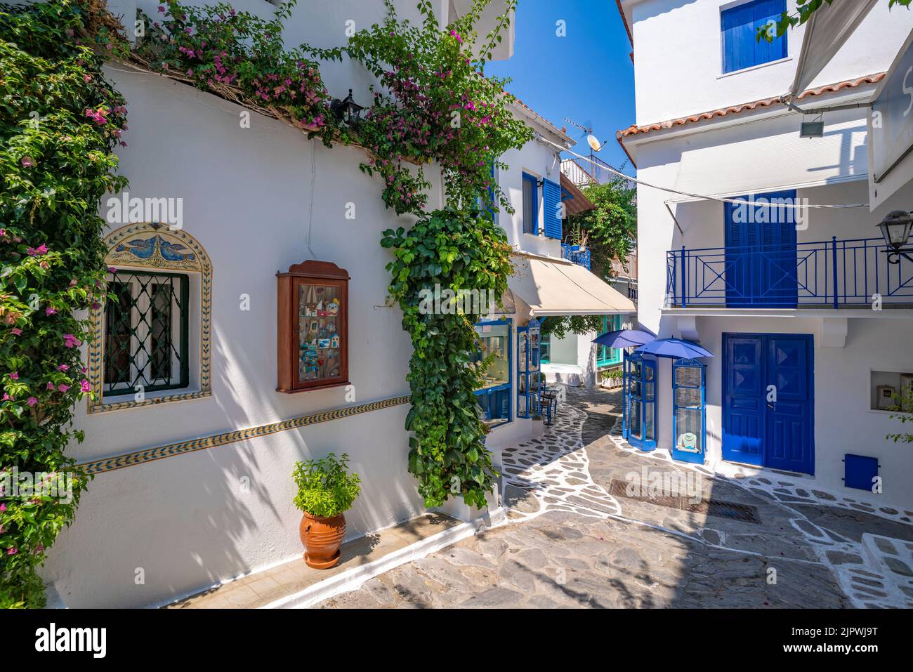 Vue sur l'étroite rue blanchie à la chaux dans la ville de Skiathos, l'île de Skiathos, les îles Sporades, les îles grecques, la Grèce, Europe Banque D'Images