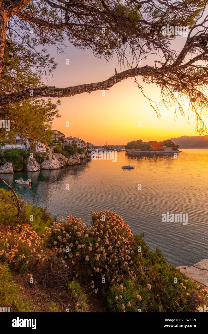Vue sur la vieille ville entourée d'arbres au lever du soleil, ville de Skiathos, île de Skiathos, îles Sporades, îles grecques, Grèce, Europe Banque D'Images