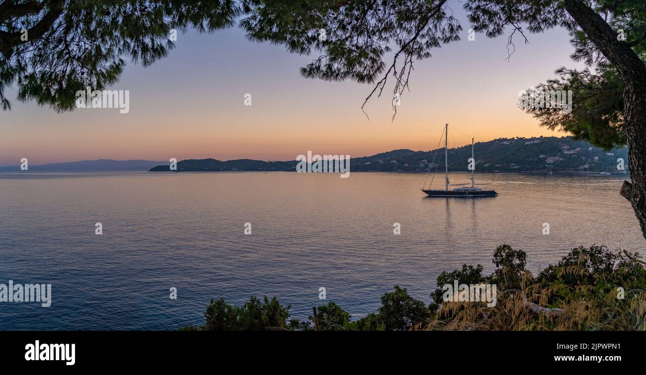 Vue sur un voilier dans la mer Égée encadré par un arbre au crépuscule, ville de Skiathos, île de Skiathos, îles Sporades, îles grecques, Grèce, Europe Banque D'Images