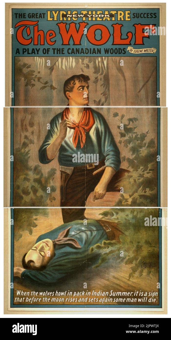 Le loup de l'aplay woods par Eugene Walter. Banque D'Images