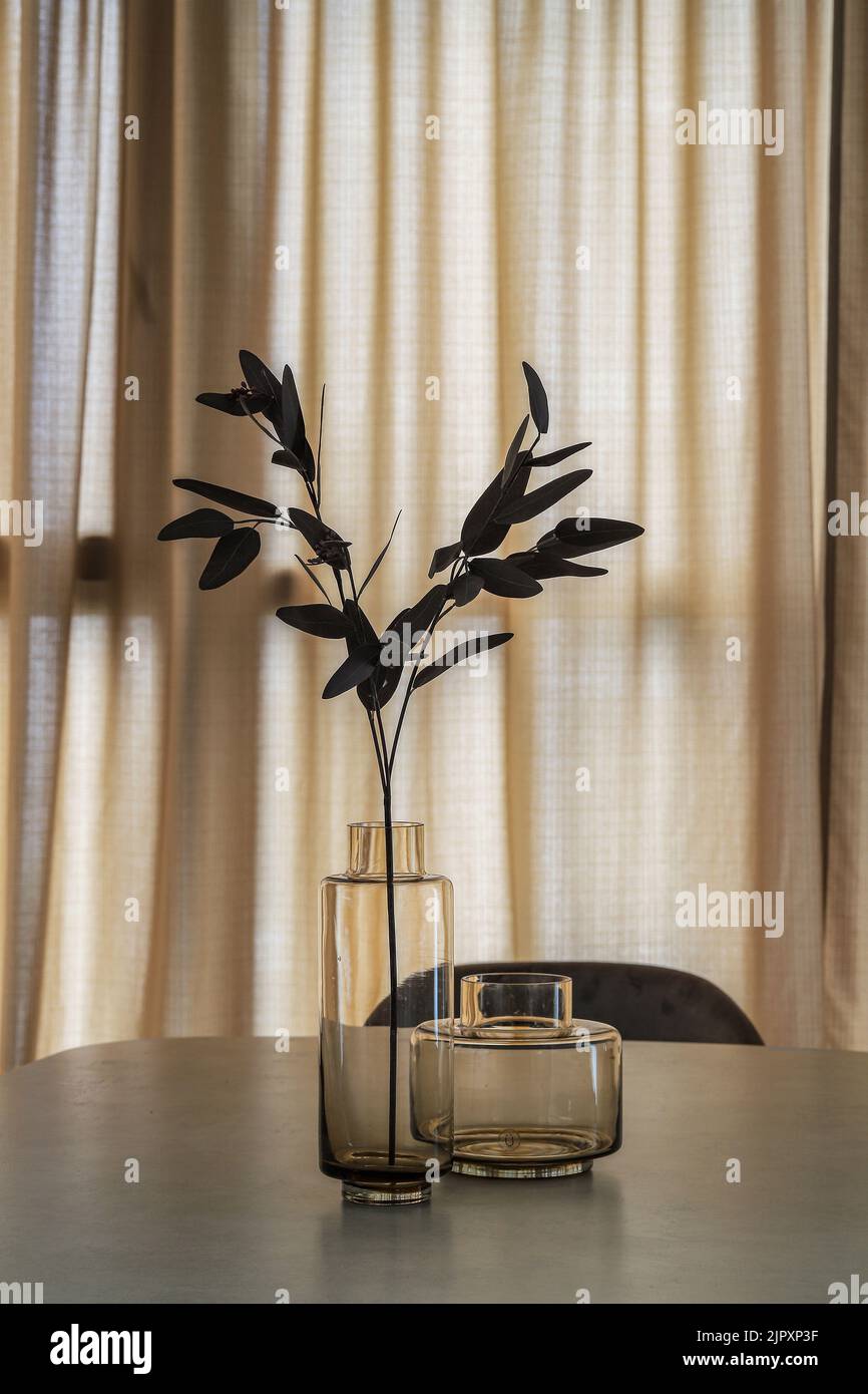 Vases en verre pour la décoration d'intérieur avec plantes sur la table dans un intérieur moderne Banque D'Images