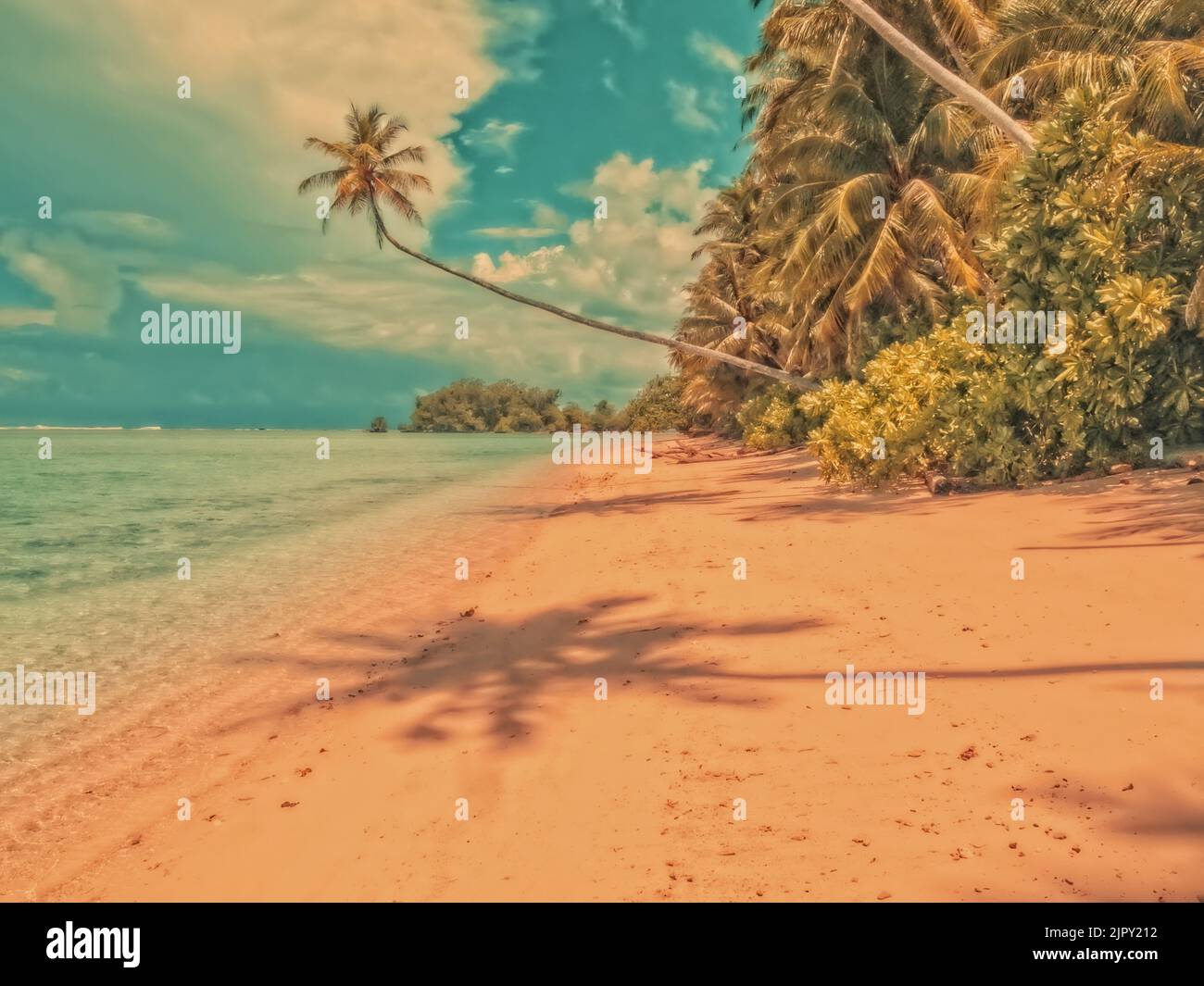 Île tropicale et palmier suspendu par une chaude journée d'été Banque D'Images