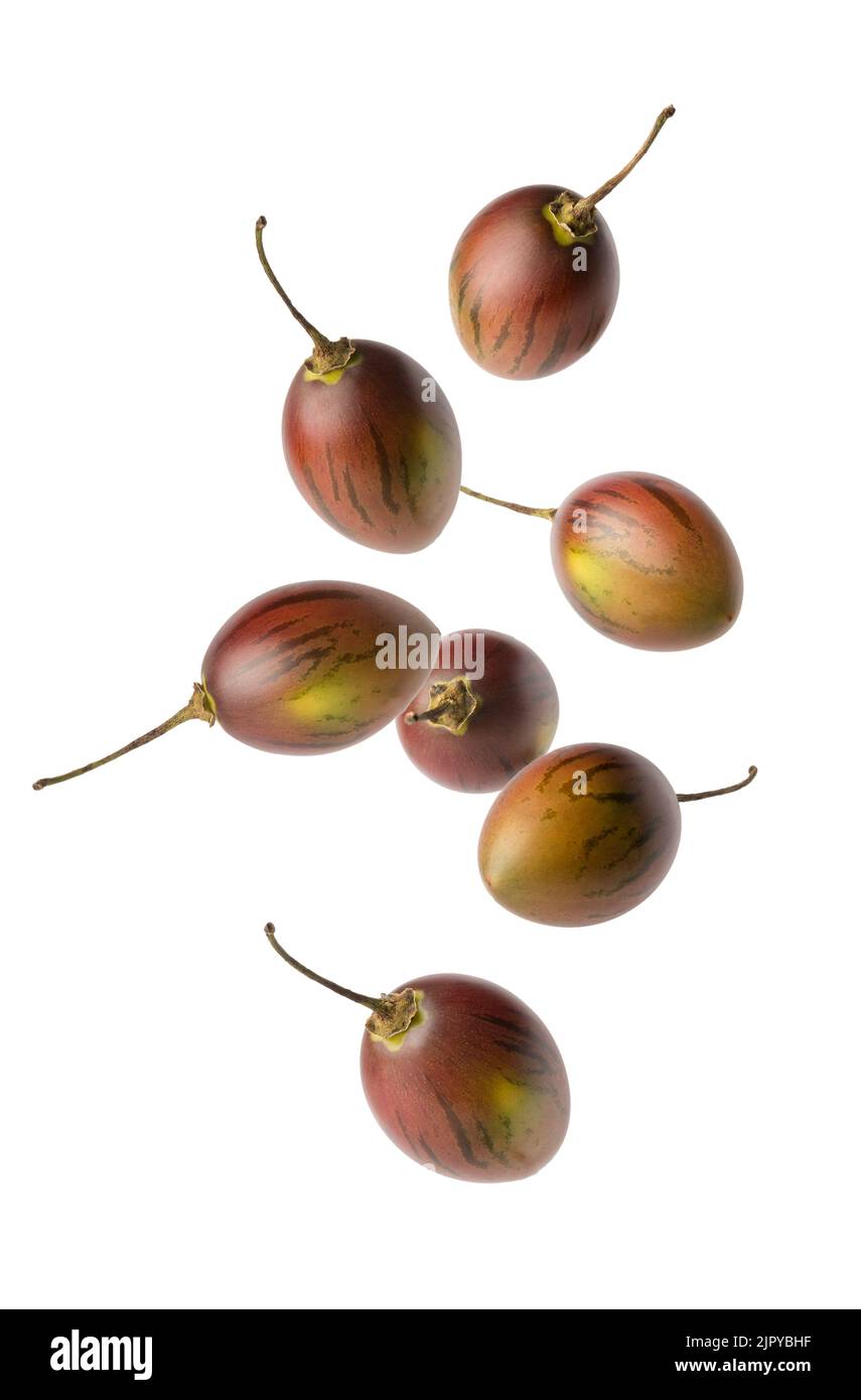 tamarillo frais ou tomates d'arbre tombant isolées sur fond blanc, un oeuf-en forme de fruits comestibles gros-up Banque D'Images