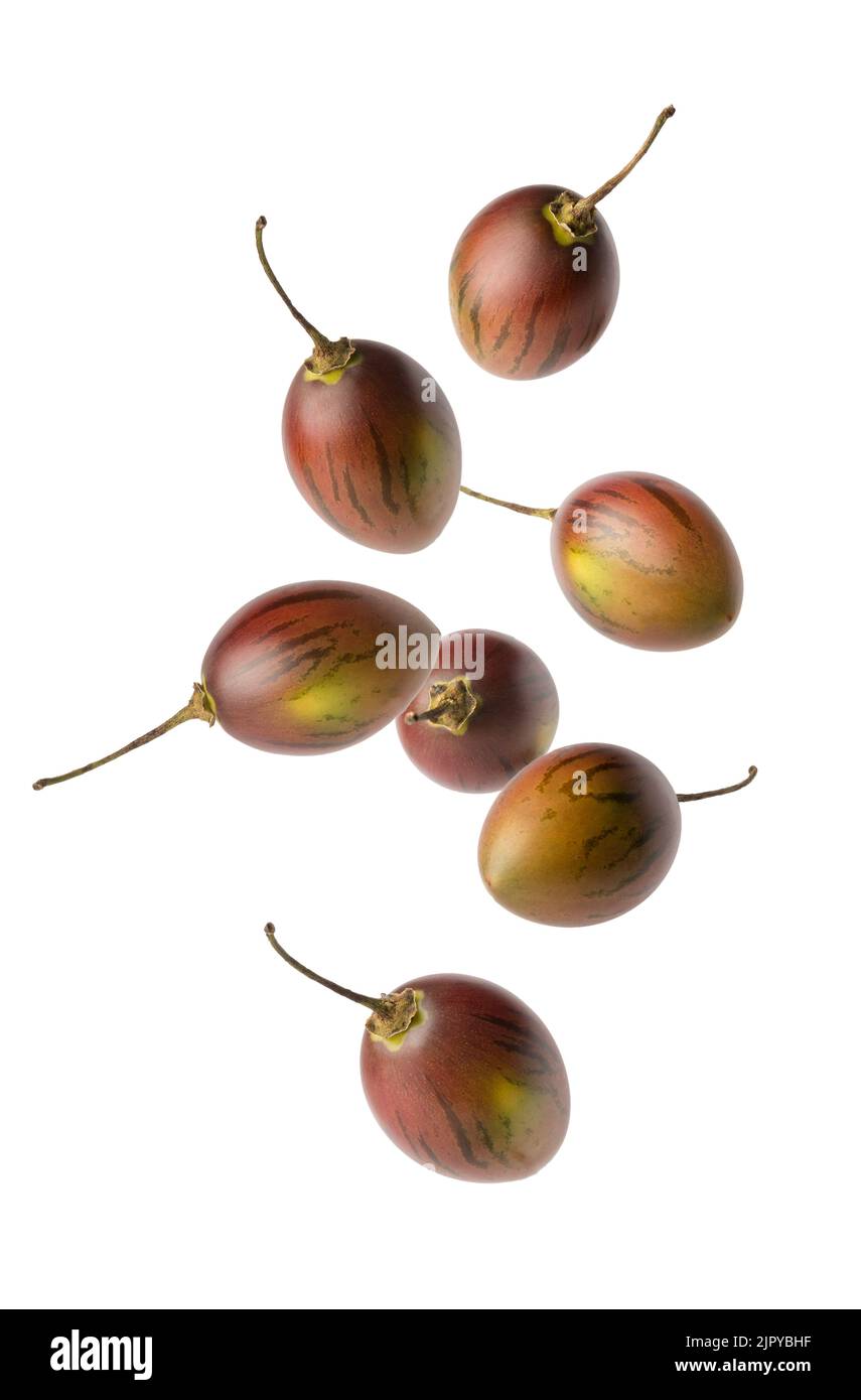 tamarillo frais ou tomates d'arbre tombant isolées sur fond blanc, un oeuf-en forme de fruits comestibles gros-up Banque D'Images
