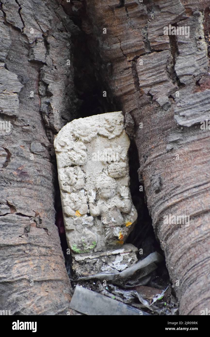 Idoles des dieux hindous sous un arbre. Banque D'Images