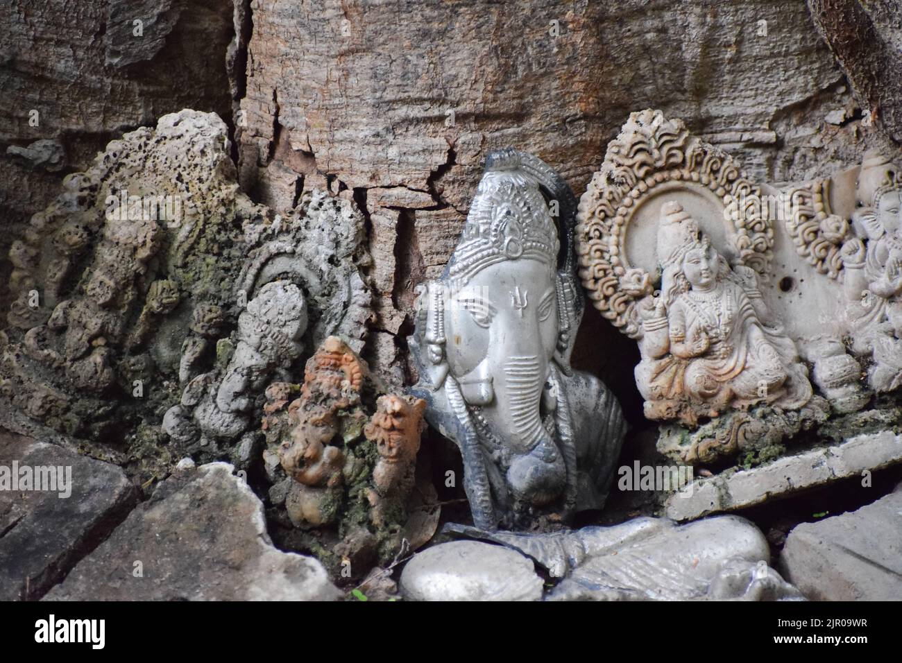 Idoles des dieux hindous sous un arbre. Banque D'Images
