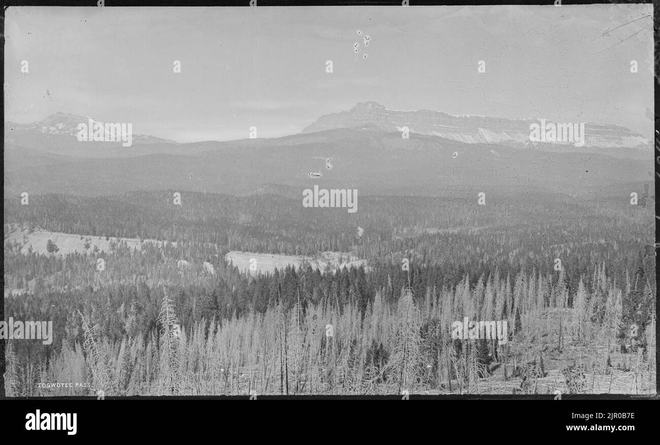 Togwotee Pass, Wyoming Banque D'Images