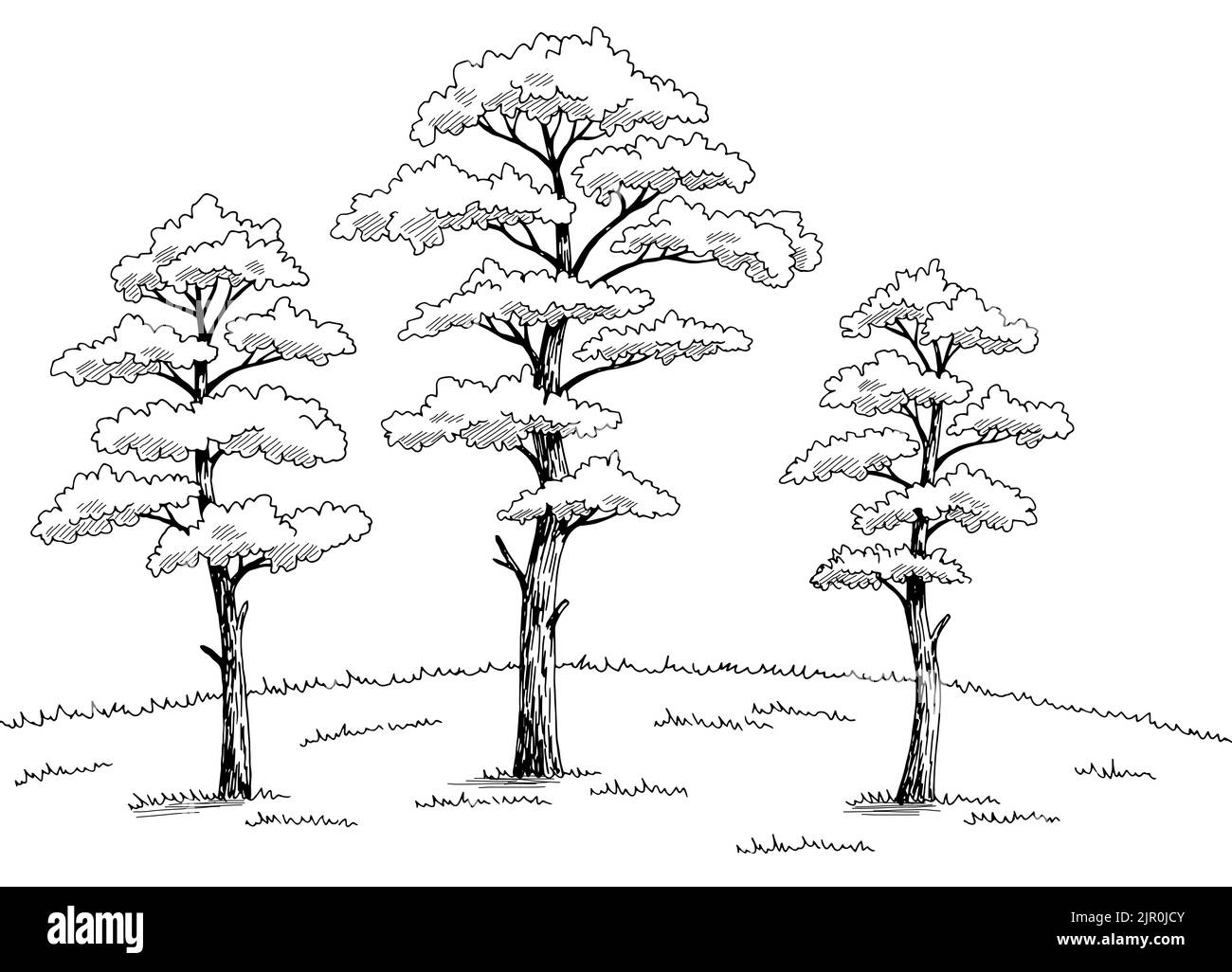 Schéma de pin Grove graphique noir blanc paysage dessin vecteur d ...