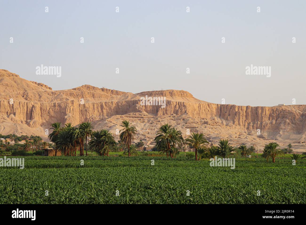 Sur les fermes de la rive ouest du Nil à Louxor, Égypte Banque D'Images