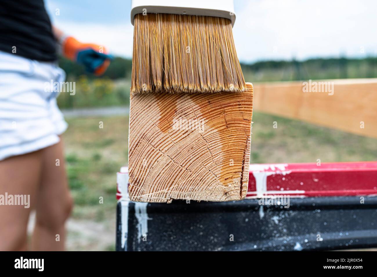 La femme imprègne des poutres de pin en bois rabotées avec des dimensions de 100x100mm avec une imprégnation incolore. Banque D'Images