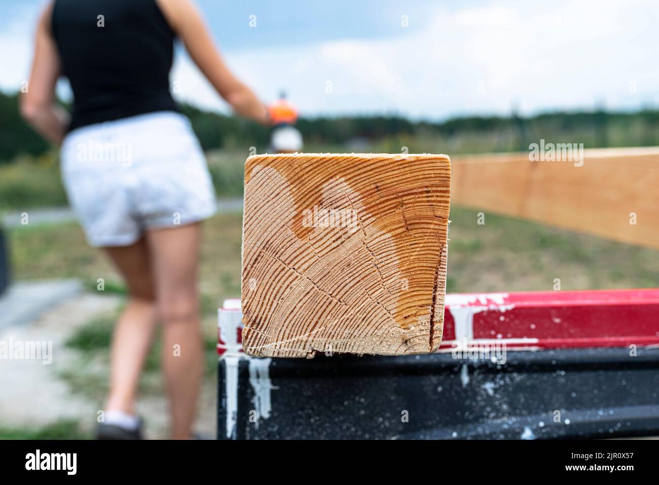 La femme imprègne des poutres de pin en bois rabotées avec des dimensions de 100x100mm avec une imprégnation incolore. Banque D'Images