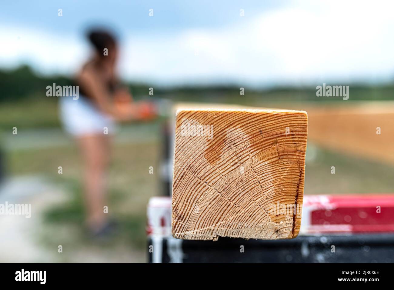La femme imprègne des poutres de pin en bois rabotées avec des dimensions de 100x100mm avec une imprégnation incolore. Banque D'Images