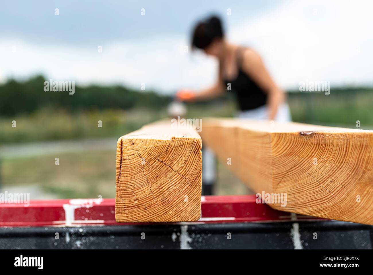 La femme imprègne des poutres de pin en bois rabotées avec des dimensions de 100x100mm avec une imprégnation incolore. Banque D'Images