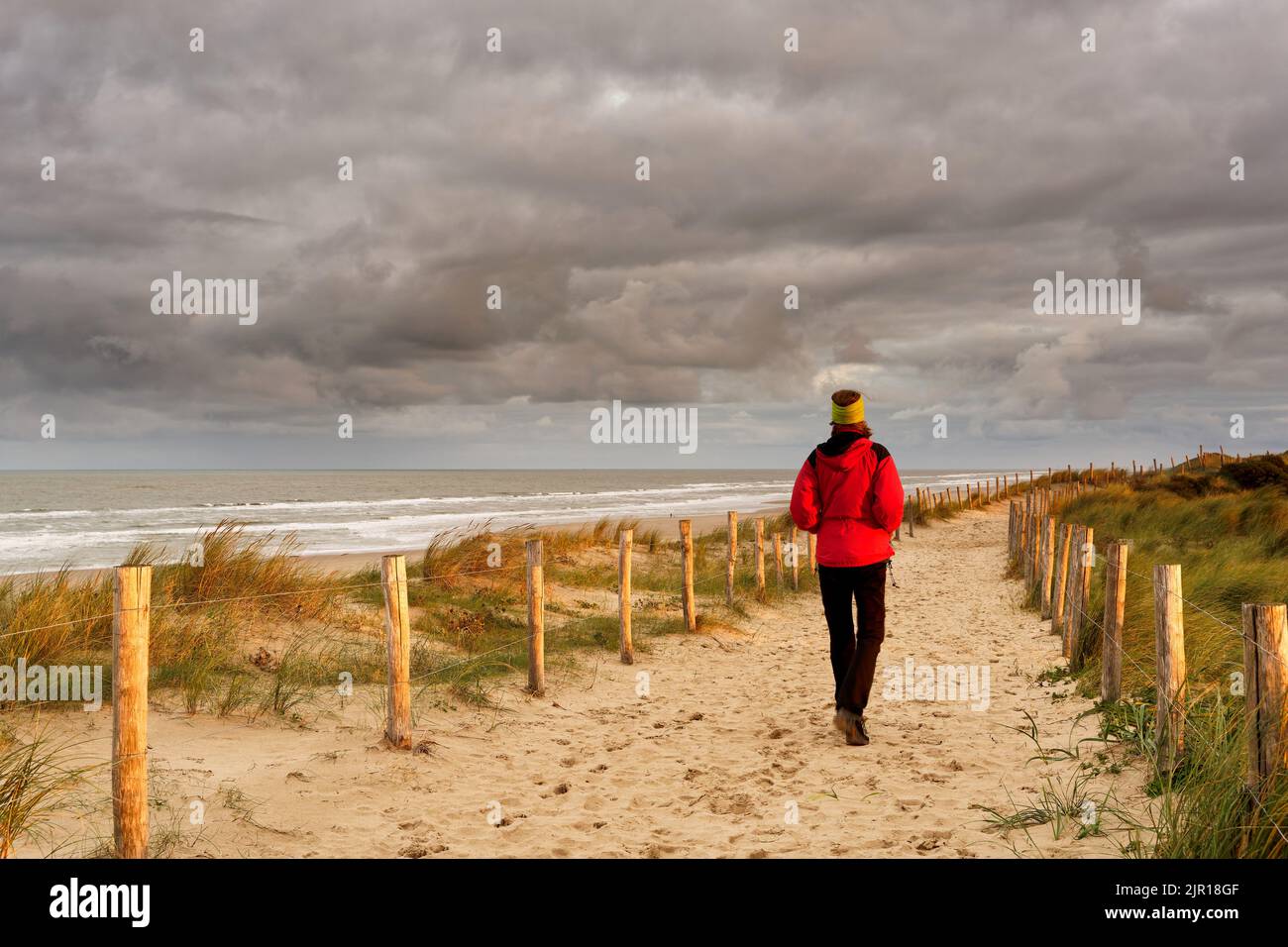 Une femme marchant sur un beau sentier de sable le long de l'océan. Le soleil du matin qui brille sur le côté. Réserve de dunes de North Holland, Egmond aan Zee, Nethe Banque D'Images