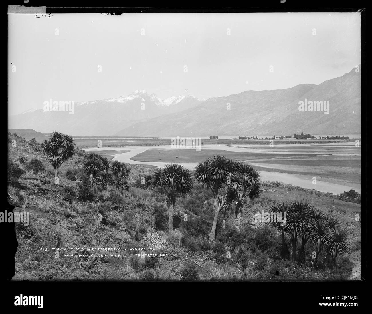 Tooth Peaks and Glenorchy, Lake Wakatipu, 1900, Nouvelle-Zélande, par Muir & Moodie. Banque D'Images