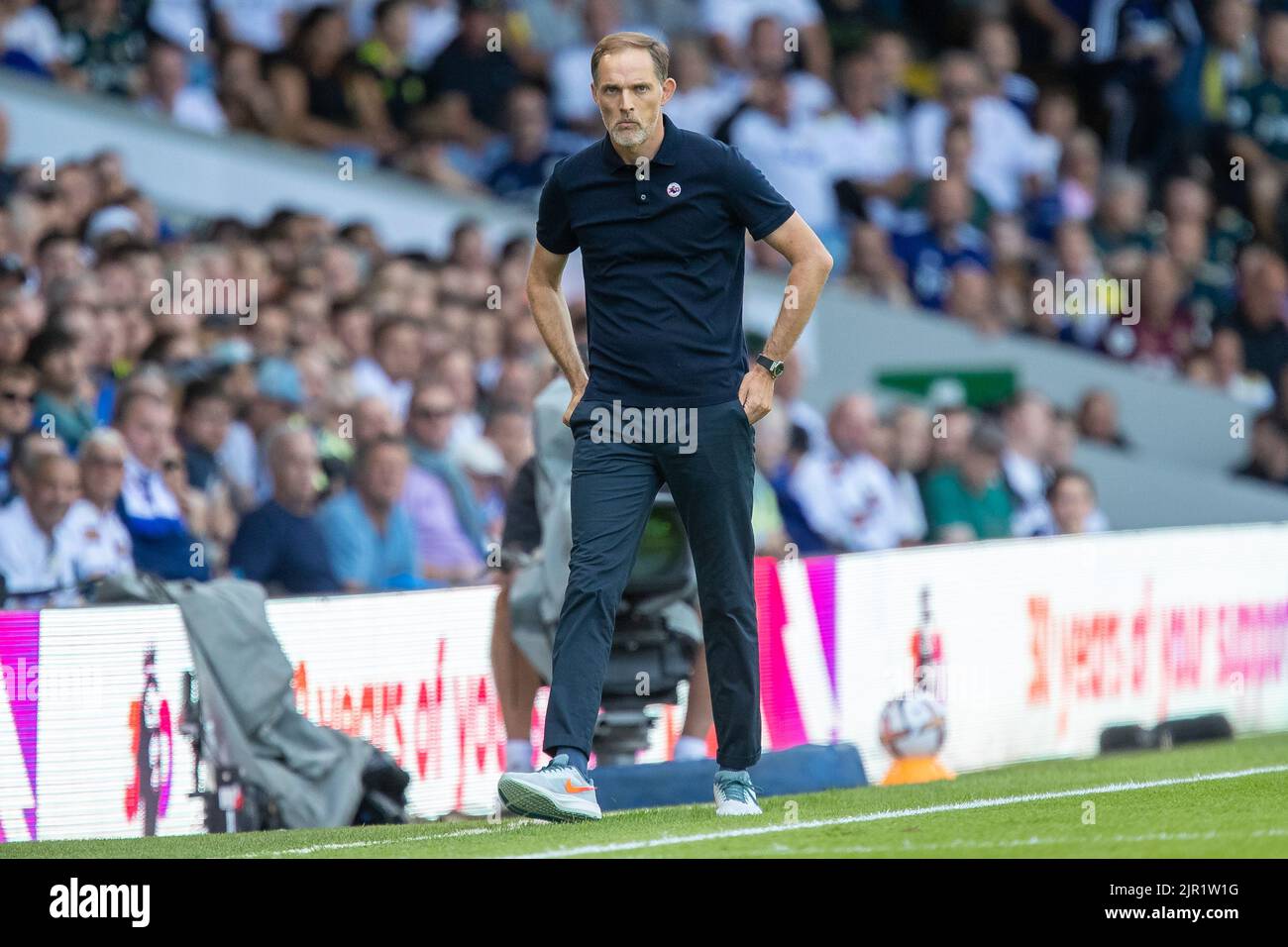 portrait-de-thomas-tuchel-banque-de-photographies-et-d-images-haute