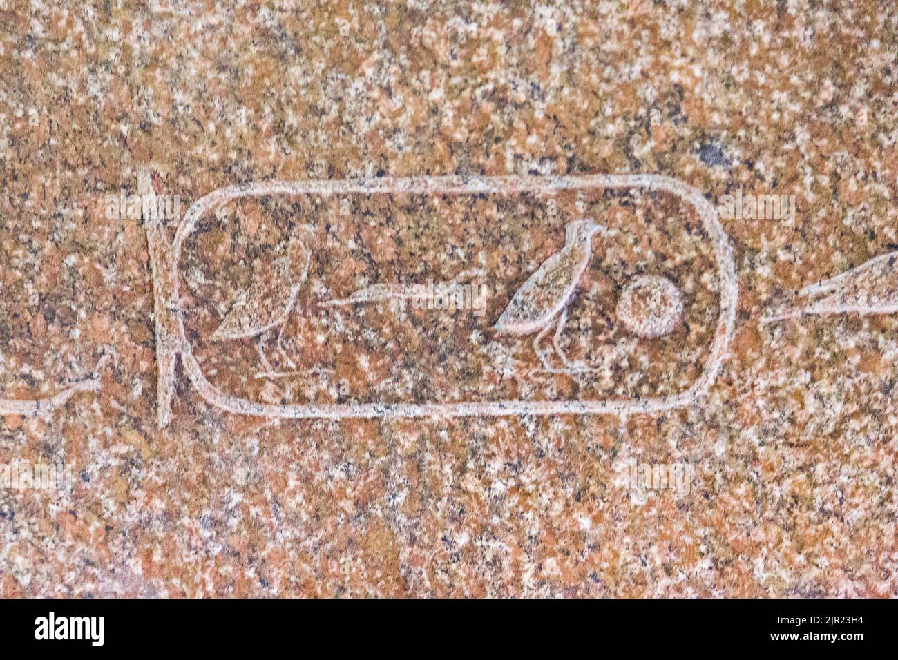 Le Caire, Musée égyptien, sarcophage de KhufuDjedef, contemporain du roi Menkauere et fils de Kheops. Cartouche de Kheops (Khufu). Banque D'Images