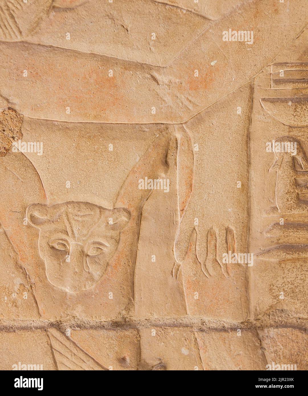 Égypte, Saqqara, tombeau de Horemheb, salle de la statue, peau de panthère d'un prêtre Iunmutef. Banque D'Images