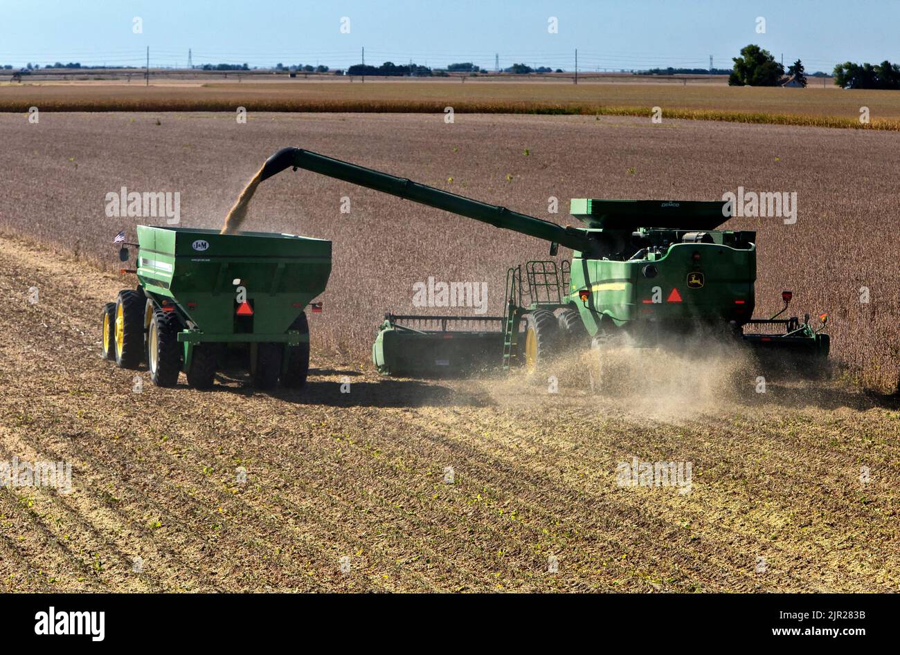 Récolte de soja, récolteuse John Deere, tracteur manœuvrant le chariot de remblai J&M, récolte de soja mûr 'Glycine max'. Banque D'Images