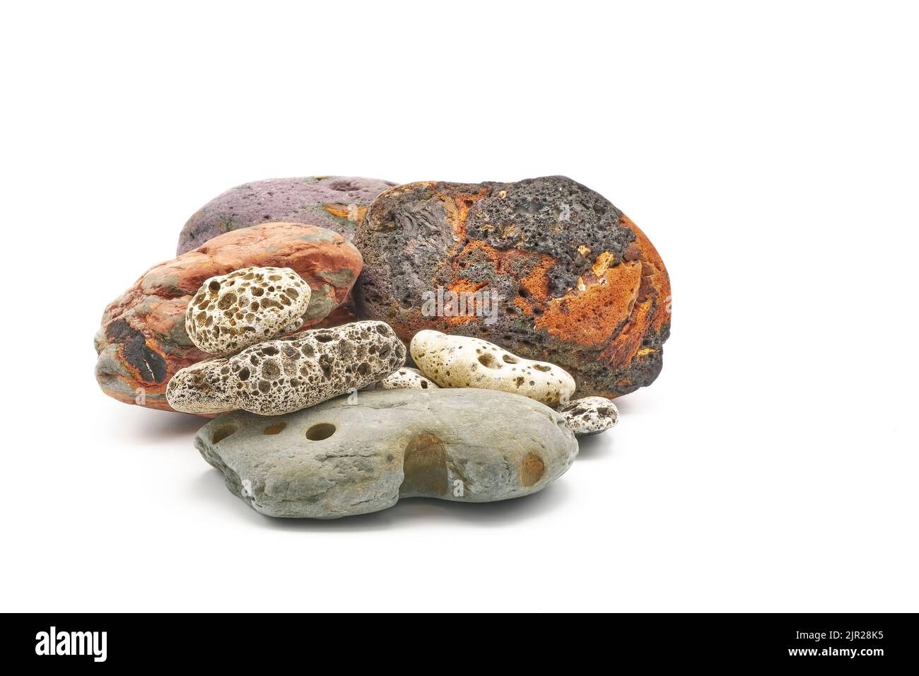 Exemples de roches de mer avec des trous s'ennuient dans elles par des piddocks et d'autres mollusques, vers et éponges. Ces types de rochers sont communs sur de nombreuses plages. Banque D'Images