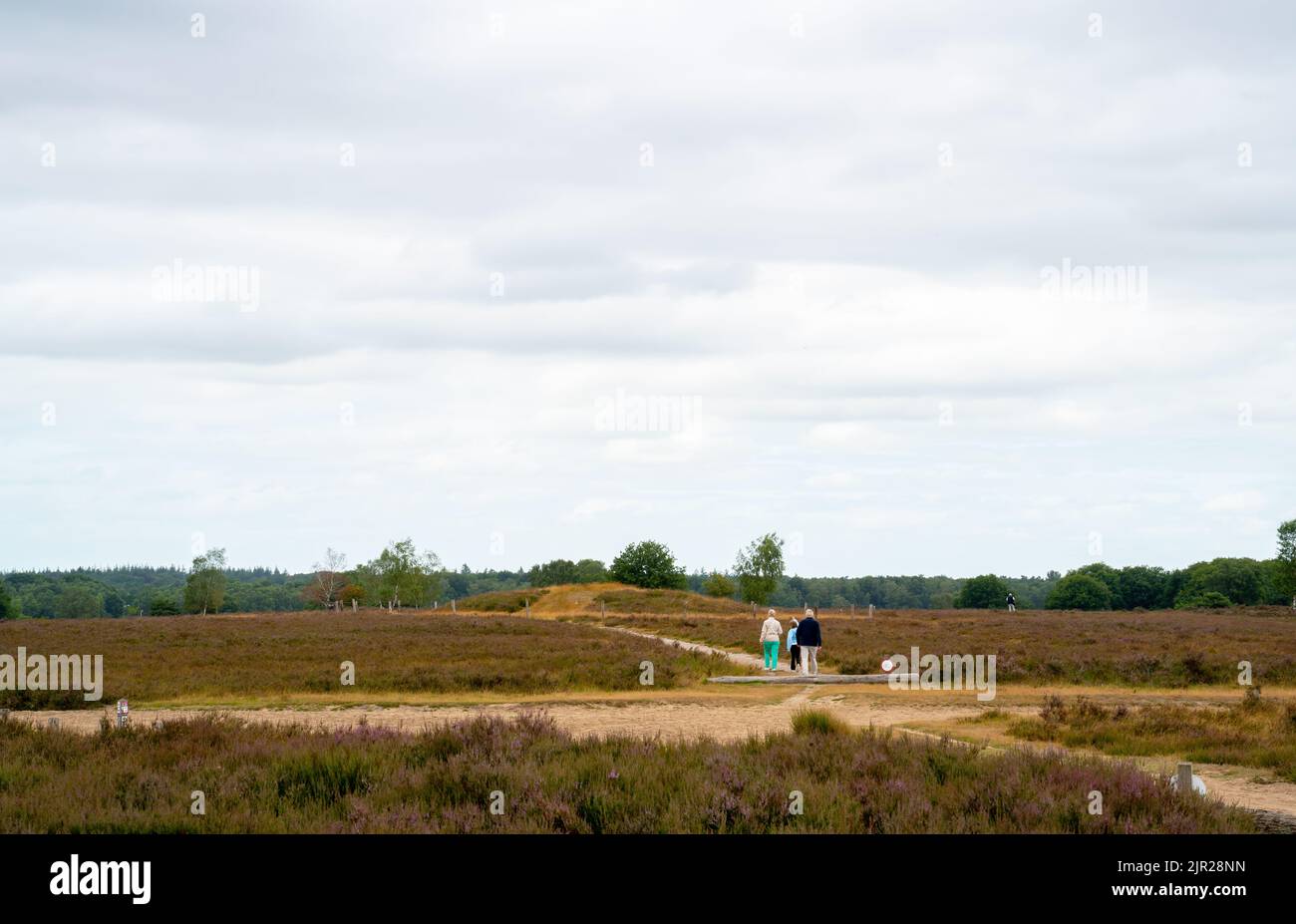 Personnes visitant un tumulus sur la santé près d'Ermelo, pays-Bas Banque D'Images