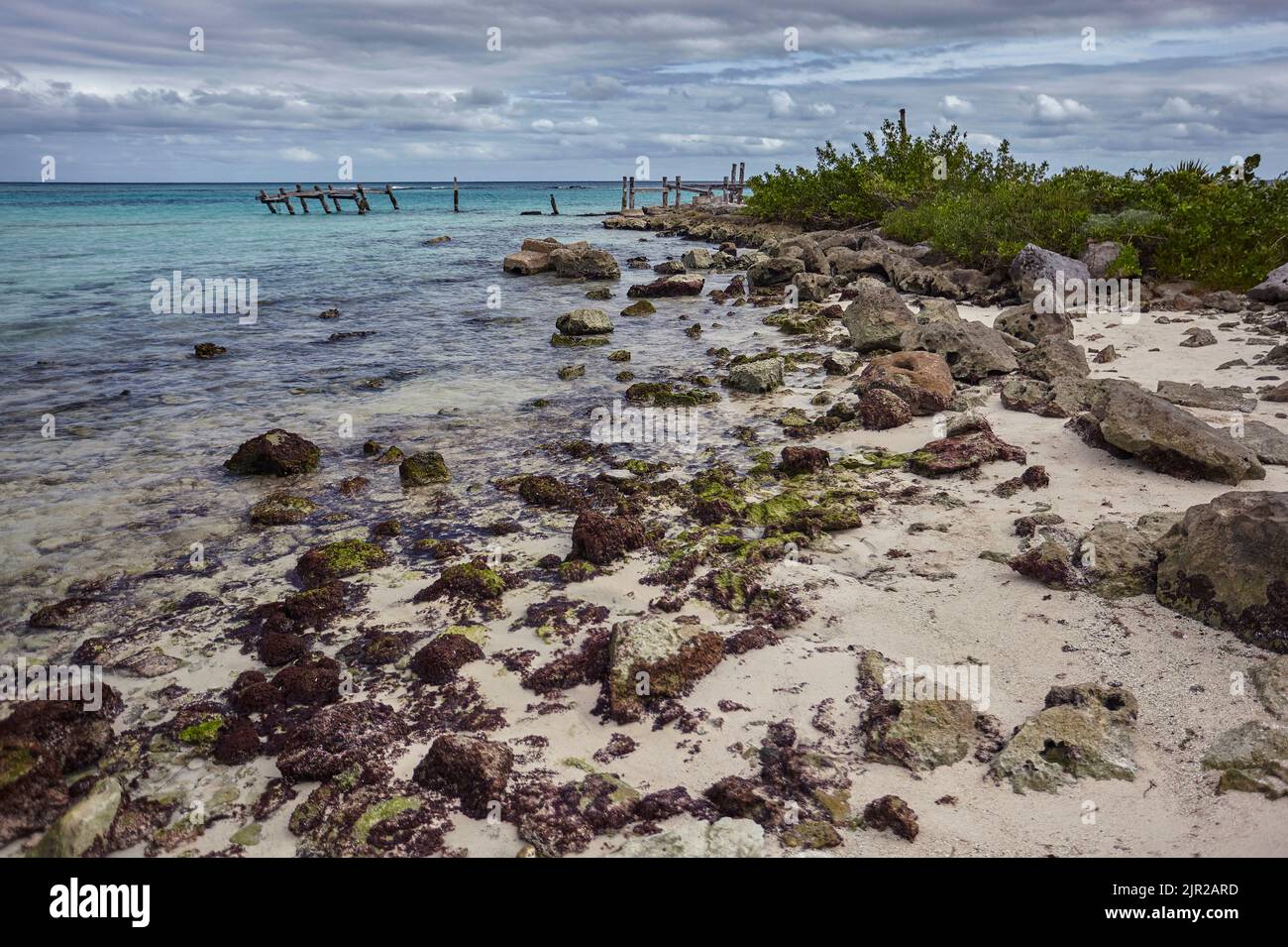 Détail de la côte mexicaine de la Riviera Maya sur la plage de Xpu-Ha : une belle plage naturelle surplombant la mer des Caraïbes. Banque D'Images