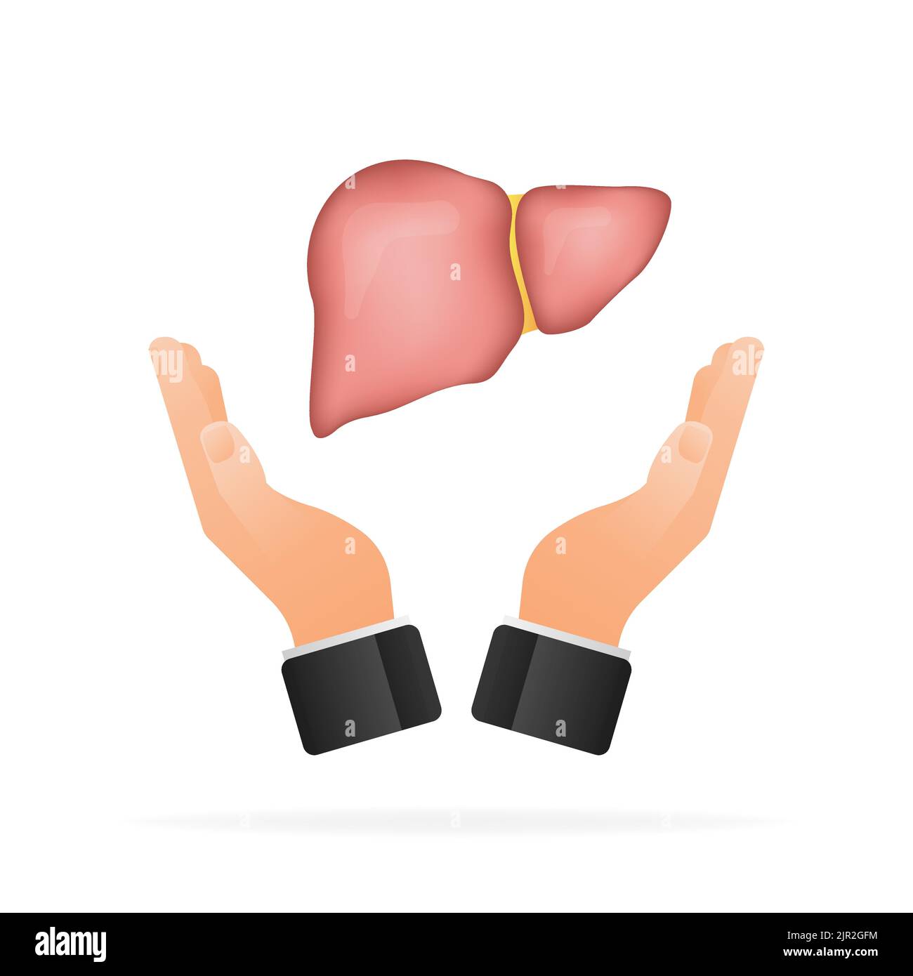Structure anatomique du foie. Organe digestif de la vésicule biliaire. Illustration vectorielle. Illustration de Vecteur