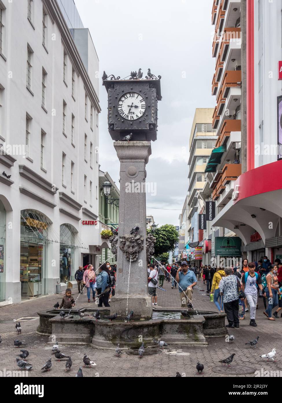 Grande horloge sur une fontaine avec pigeons au milieu d'une rue ...