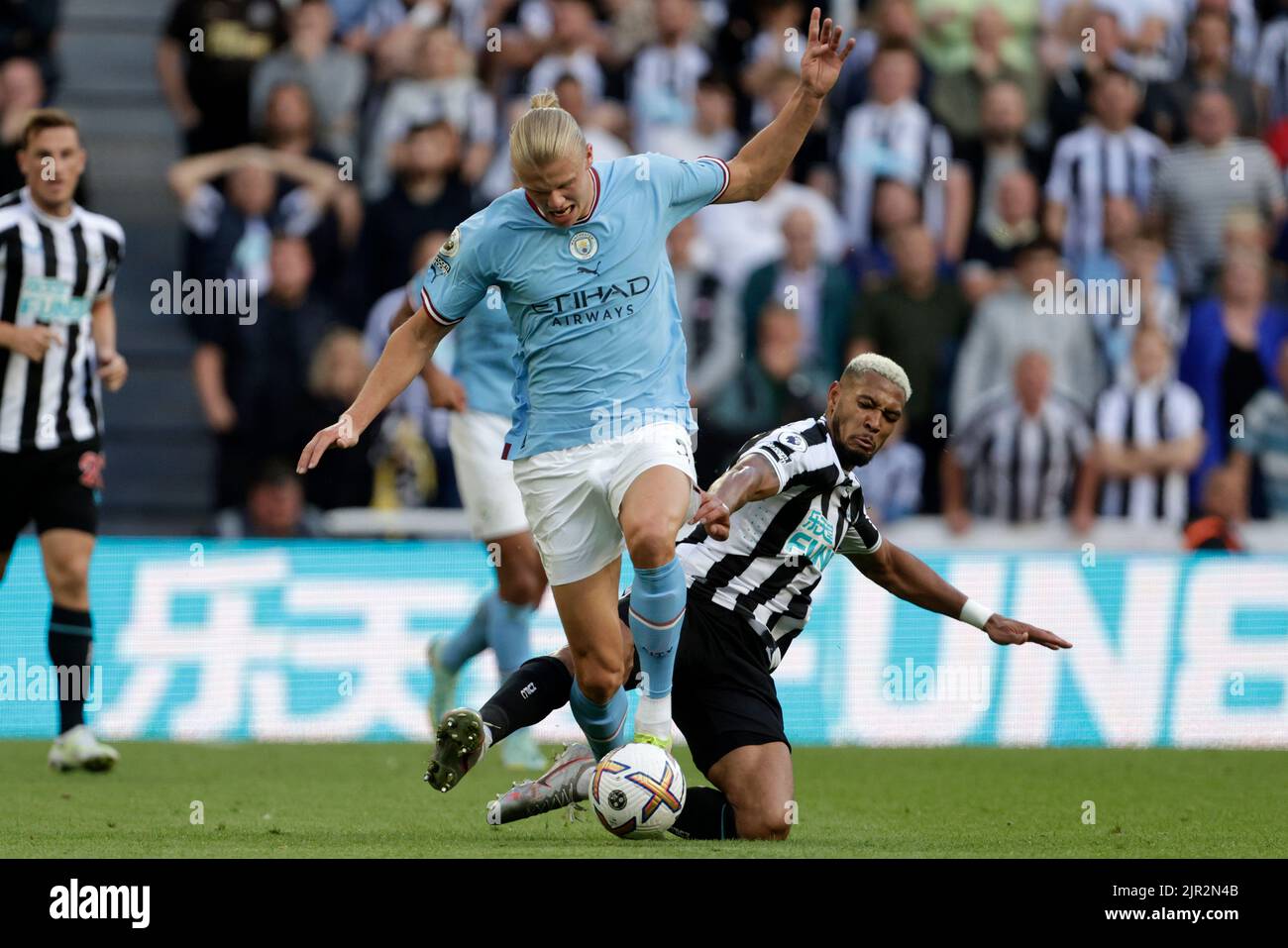 Newcastle, Royaume-Uni, 21/08/2022, ERLING HAALAND ASKARKTHEN BY NEWCASTLE UNITED Joelinton, NEWCASTLE UNITED FC V MANCHESTER CITY FC, 2022Credit: Allstar Picture Library/ Alay Live News Banque D'Images