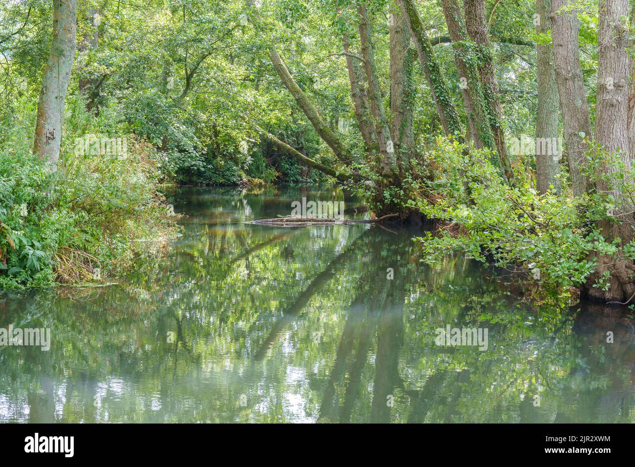La rivière Blackwater à Testwood Lakes, Totton, Hampshire. Banque D'Images