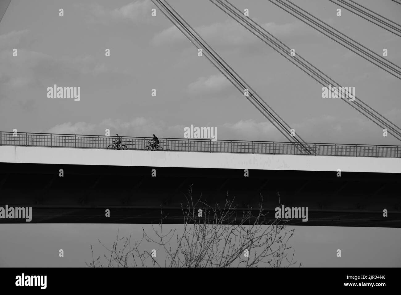 Deux cyclistes sur un pont autoroutier en niveaux de gris Banque D'Images