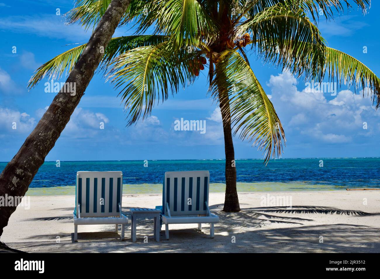 Des vibes tropicales sur Ambergris Caye, San Pedro, Belize, lors d'une journée ensoleillée à la plage avec chaises longues, palmiers, et la mer des Caraïbes. Banque D'Images
