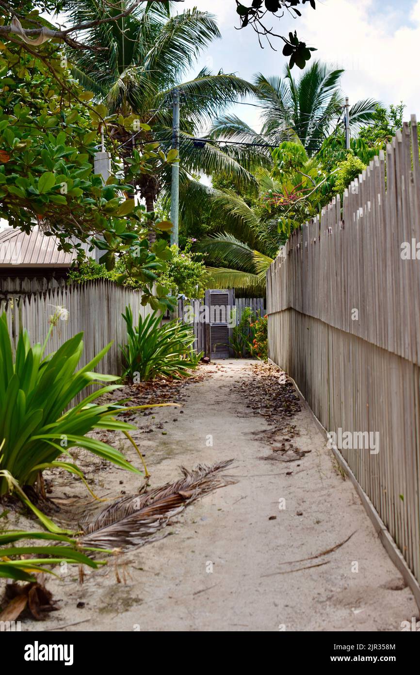 Une allée de plage sablonneuse avec végétation tropicale et clôtures en bois à Ambergris Caye, Belize. Banque D'Images