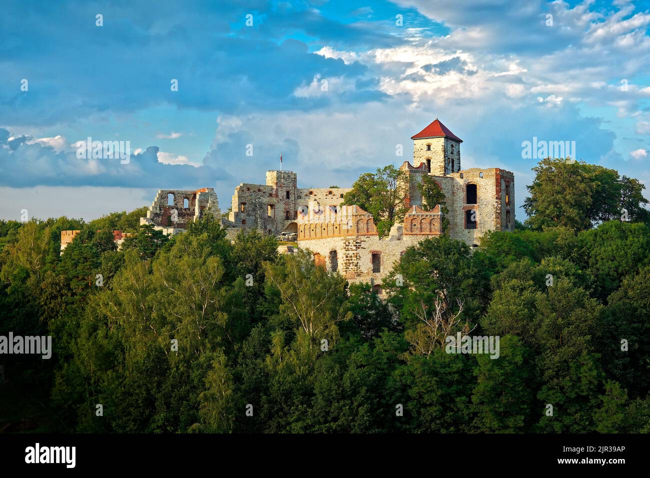 Le château de Tenczyn est un château médiéval dans le village de Rudno dans le Jura polonais, en Pologne, pillé et brûlé par les forces suédoises-Brandenburgiennes, se dresse sur le rem Banque D'Images