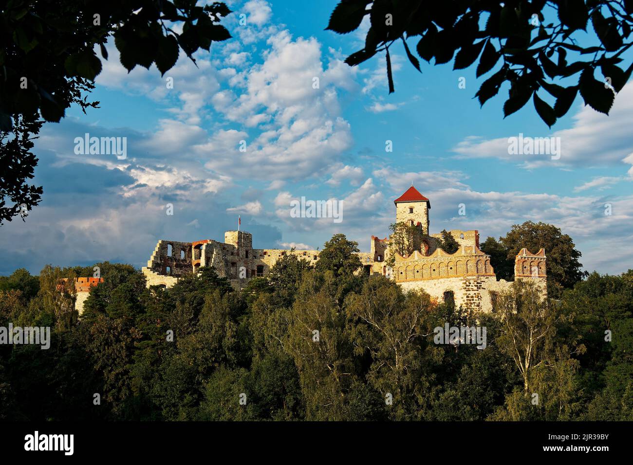 Le château de Tenczyn est un château médiéval dans le village de Rudno dans le Jura polonais, en Pologne, pillé et brûlé par les forces suédoises-Brandenburgiennes, se dresse sur le rem Banque D'Images