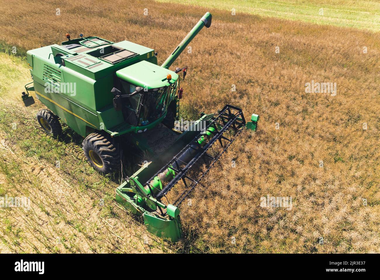 Perspective de drone sur la nouvelle moissonneuse-batteuse verte et son opérateur lors de la récolte de colza. Col bleu. Industrie alimentaire. Photo de haute qualité Banque D'Images