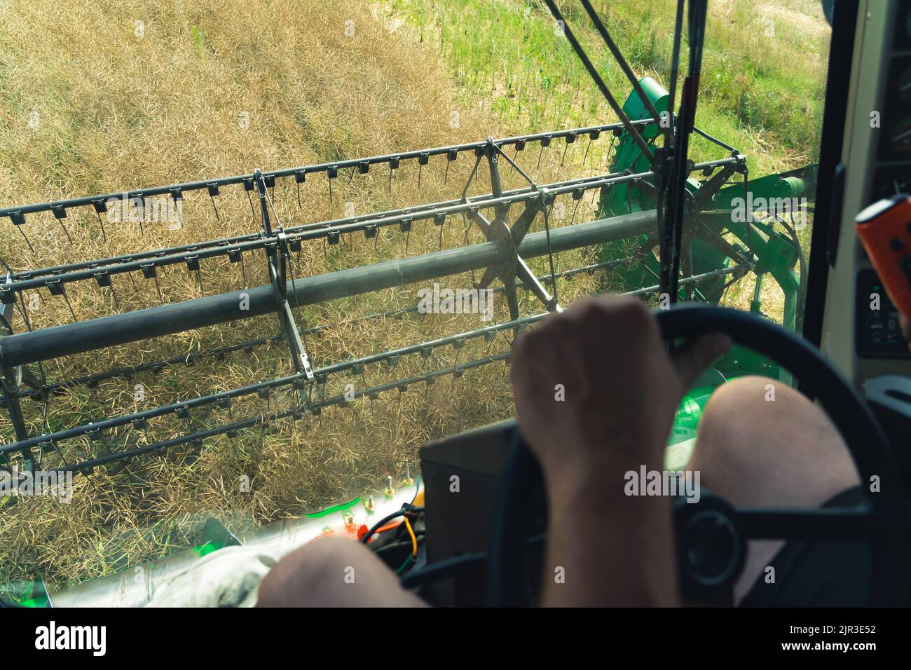 L'évolution de l'agriculture. Perspective inhabituelle de l'agriculteur sur la récolte de colza. Opérateur caucasien au premier plan, rabatteur de la moissonneuse-batteuse en arrière-plan. Photo de haute qualité Banque D'Images