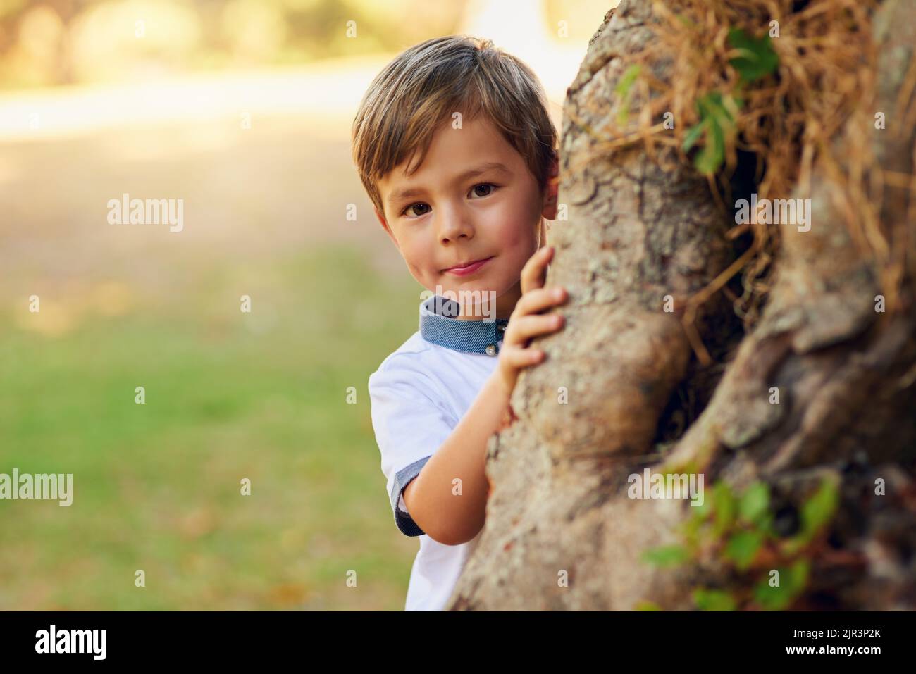 Cachez et jetez un œil. Un petit garçon heureux jouant à côté d'un arbre dans le parc. Banque D'Images