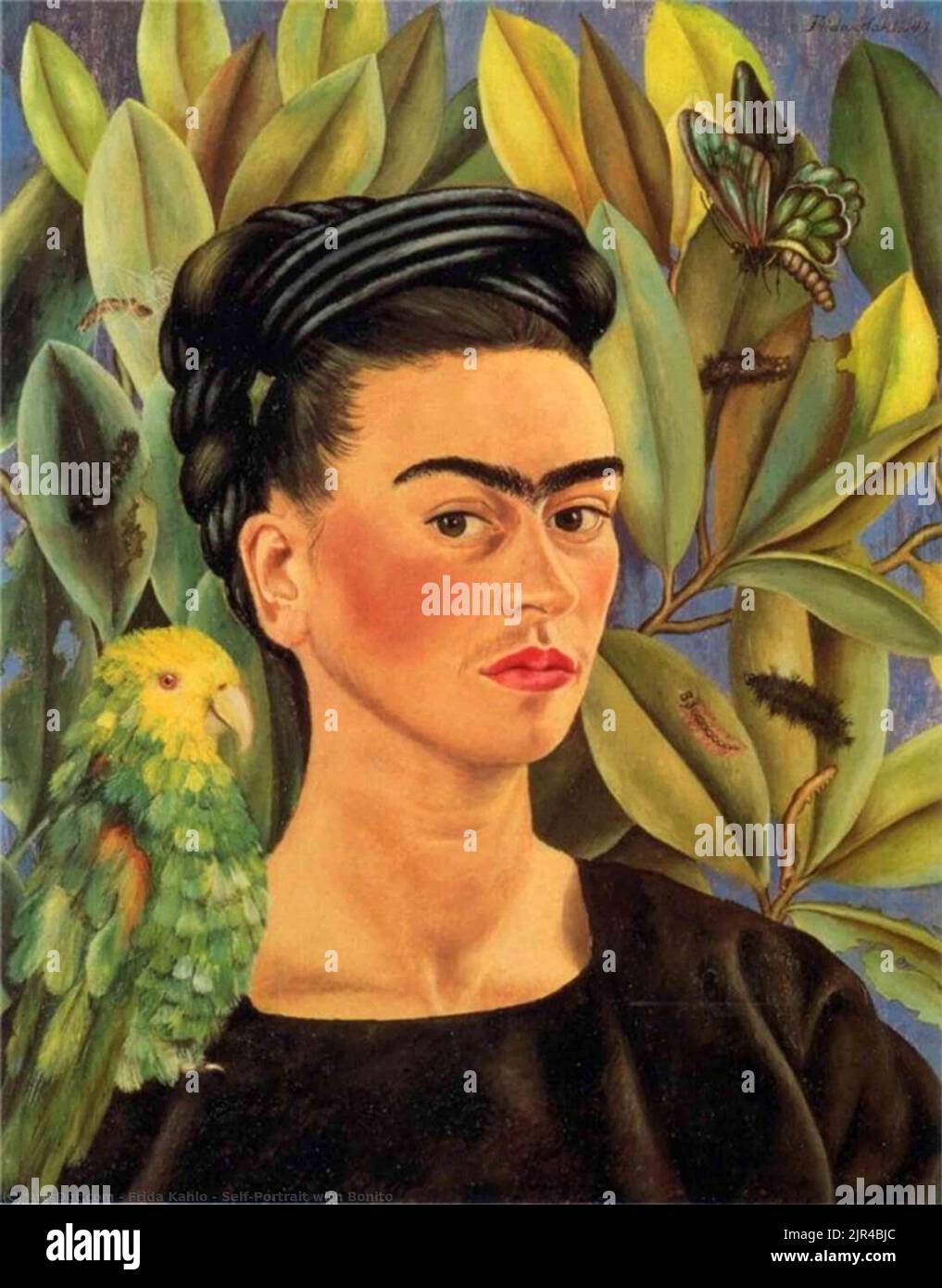 Frida Kahlo / 'Portrait de self avec Bonito', 1941, huile sur toile, 55 x 43,4 cm. Banque D'Images