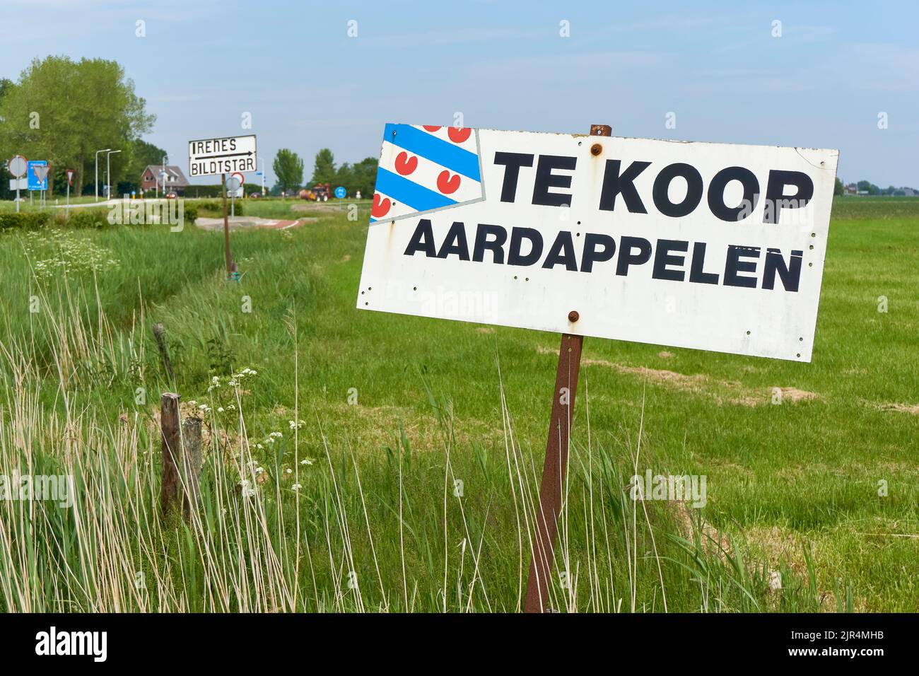 Signe de vente de pommes de terre avec texte néerlandais te koop aardappelen. Acheter des pommes de terre directement auprès de l'agriculteur avec des marques de pommes de terre bildstar et irene Banque D'Images