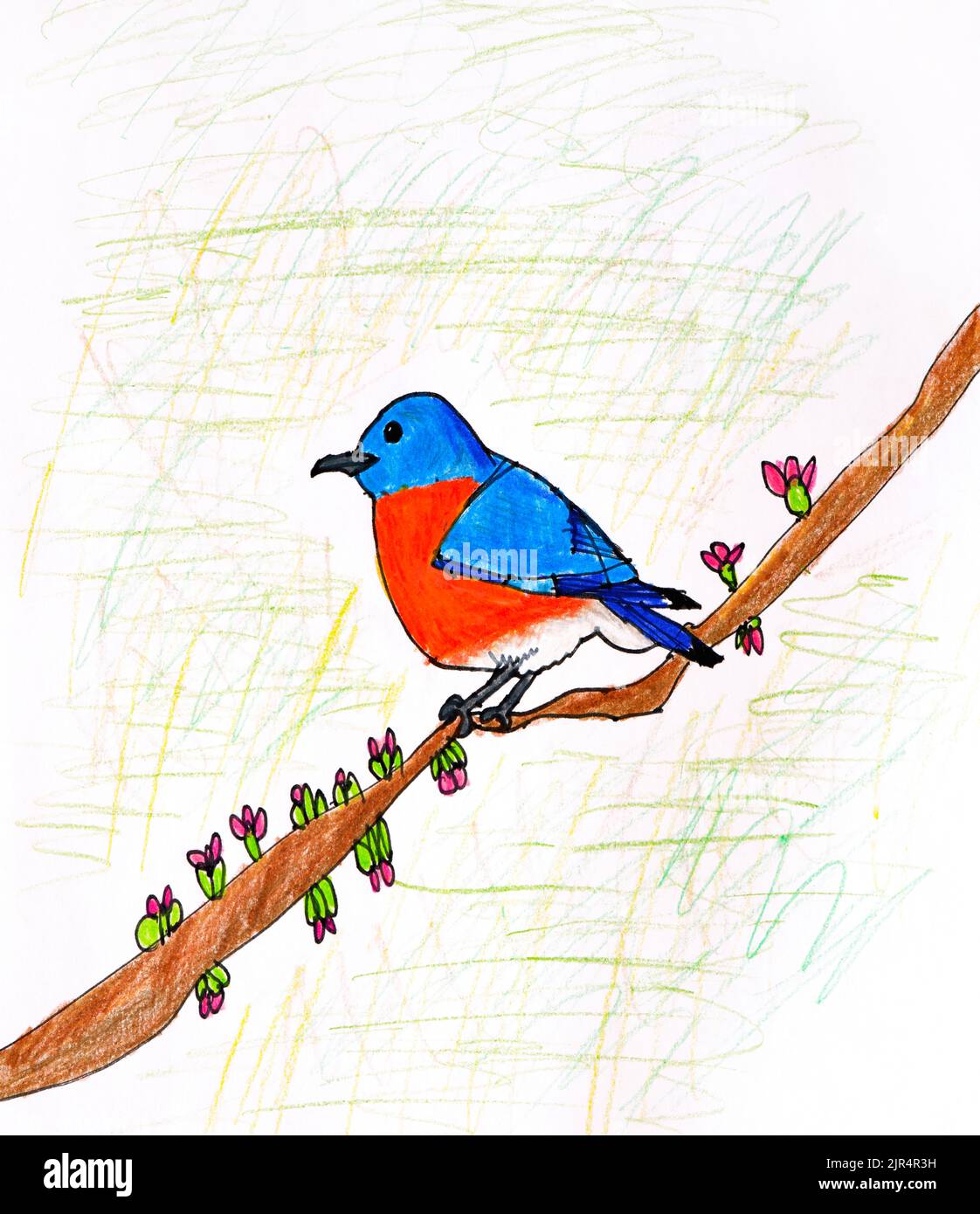 Dessin au crayon d'un oiseau bleu-rouge assis sur une branche d'arbre Banque D'Images