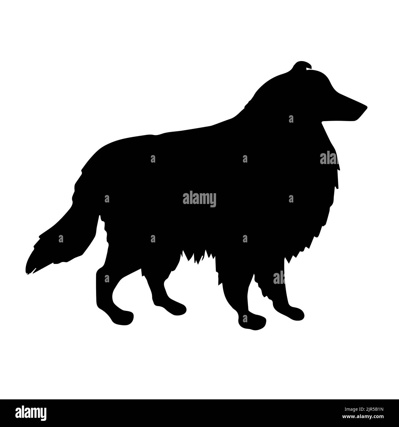 Silhouette de chien collie vectorisée à la main isolée sur fond blanc Illustration de Vecteur